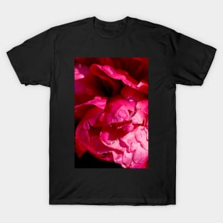 Pink Peony After Summer Rain T-Shirt